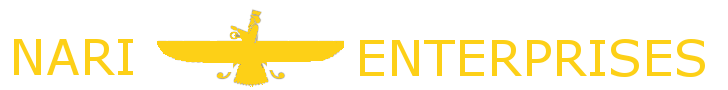 Nari Enterprises Logo